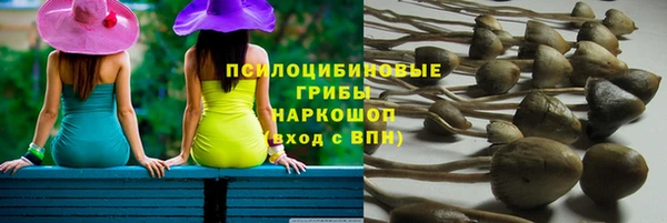 гидра Майский