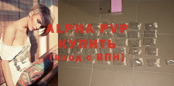 гидра Майский