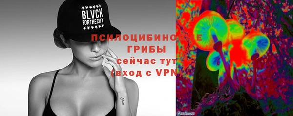 гидра Майский