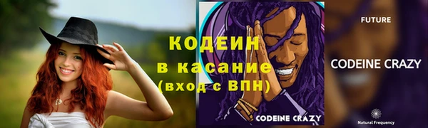 ПСИЛОЦИБИНОВЫЕ ГРИБЫ Вязники