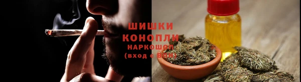 spice Липки