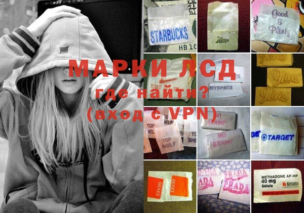 гидра Майский