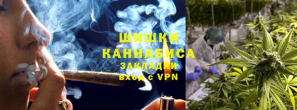 гидра Майский