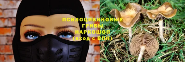 стаф Архангельск