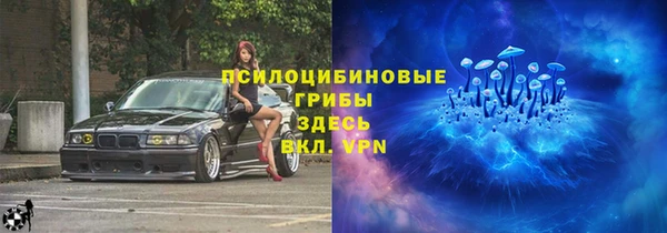 гидра Майский