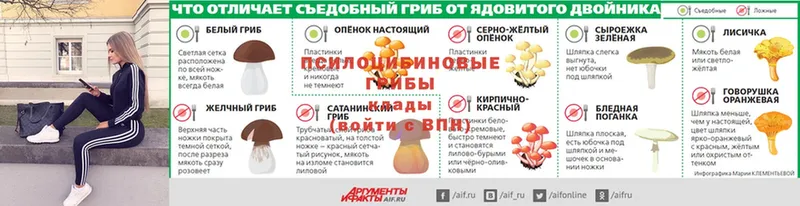 Галлюциногенные грибы прущие грибы  Людиново 