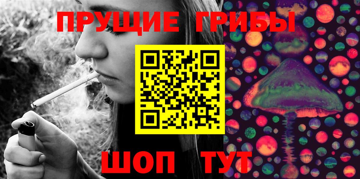 Людиново  Псилоцибиновые грибы MAGIC MUSHROOMS  Вход с VPN  Псилоцибиновые грибы ЛСД 