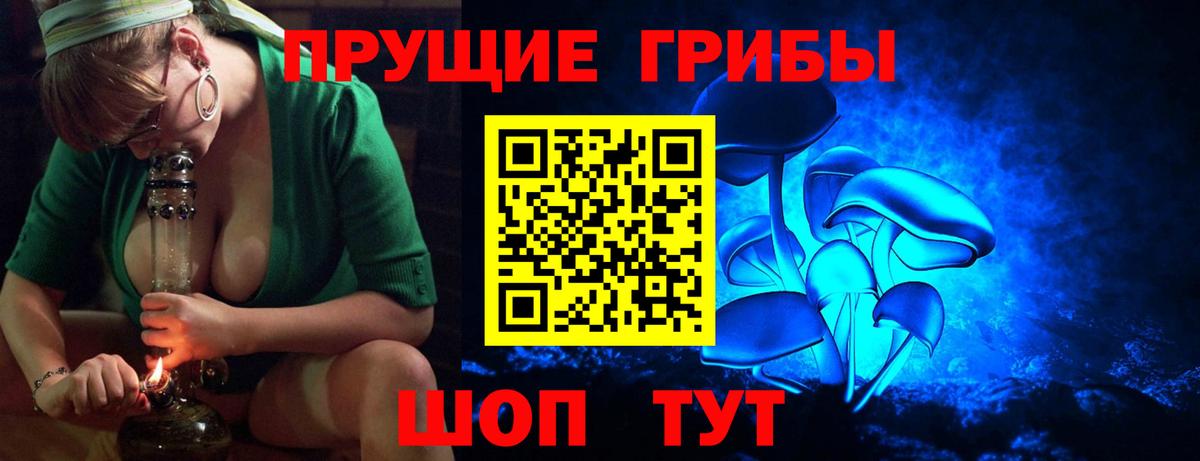 Псилоцибиновые грибы Cubensis  Людиново  Галлюциногенные грибы мицелий 